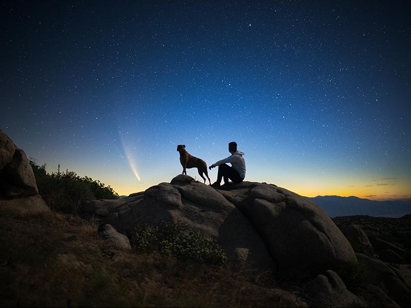 The image features Jack Fusco and his dog looking up at a comet. 