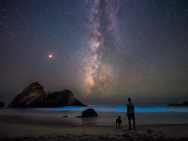 The image features Jack and Kona checking out the bioluminscence in Big Sur, CA.