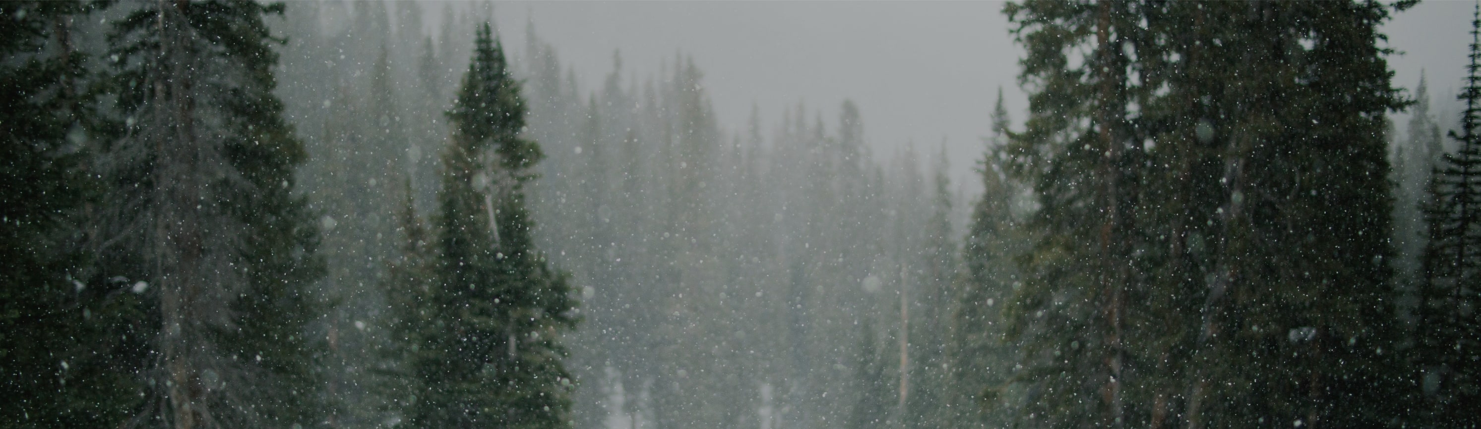 Shop our end of season sale with up to 65% off clearance!