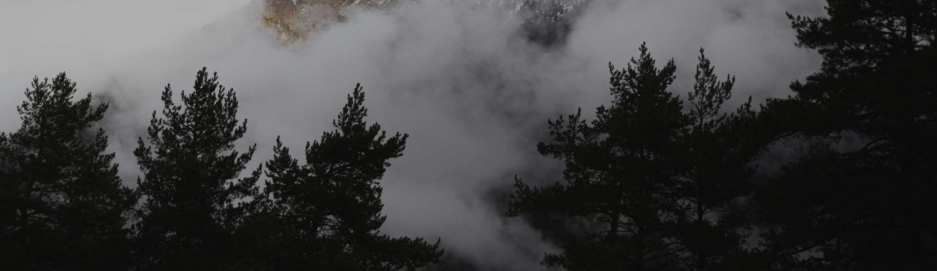 Shop our end of season sale with up to 70% off clearance. 