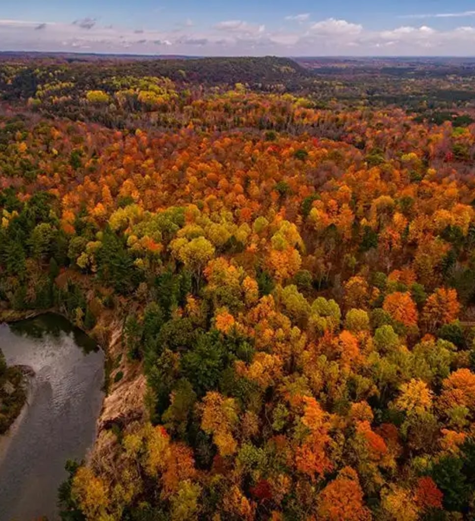 The featured image is an aerial view of multi-colored trees. 