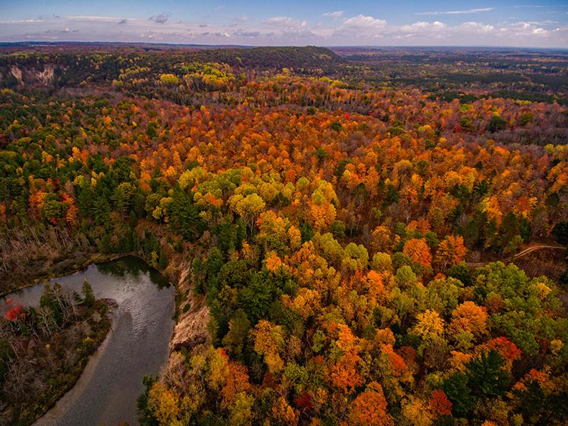 The featured image is an aerial view of multi-colored trees. 